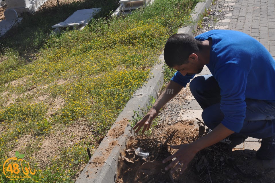 tasohamlalanjna (35).jpg